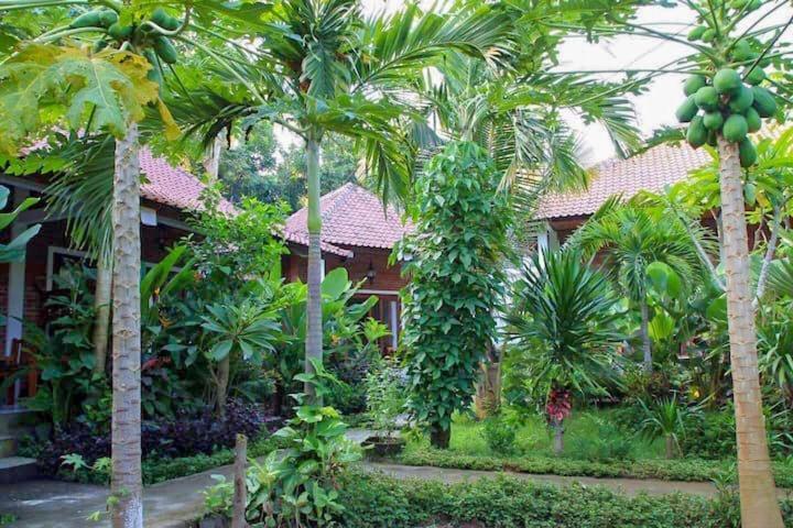 Enak Bungalow Амед Экстерьер фото